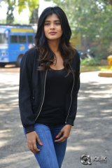 Hebah Patel at Ekkadiki Pothavu Chinnavada Movie Thanks Meet